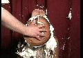 preview pic piefightgirls.com