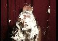 preview pic piefightgirls.com