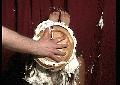 preview pic piefightgirls.com